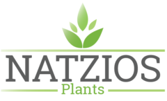 Natzios Plants